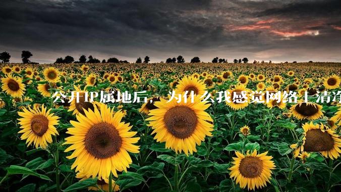 公开IP属地后，为什么我感觉网络上清净多了?