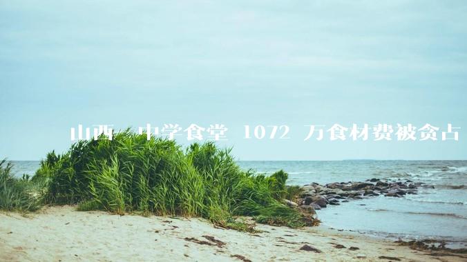山西一中学食堂 1072 万食材费被贪占 420 万，如何看待此事？应该如何保障学生「舌尖上的安全」？