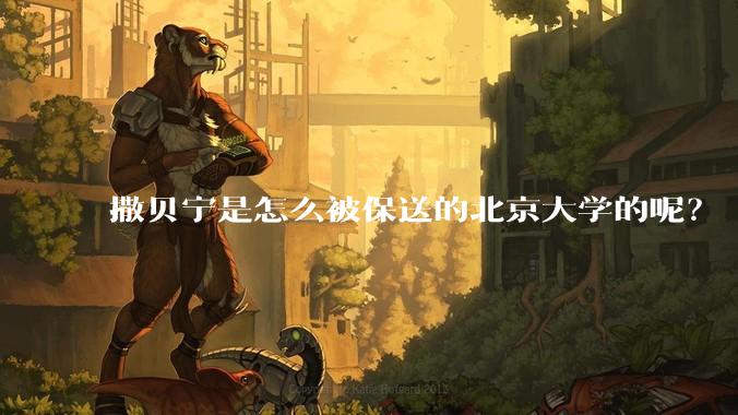 撒贝宁是怎么被保送的北京大学的呢？